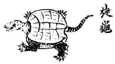 Xuangui revolving tortoise, named1895 woodcut
