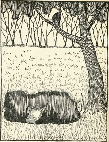 Valery Carrick’s fox in a hole threatens the nesting blackbird