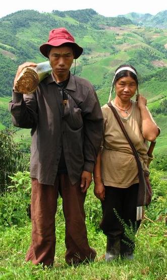 Homo sapiens