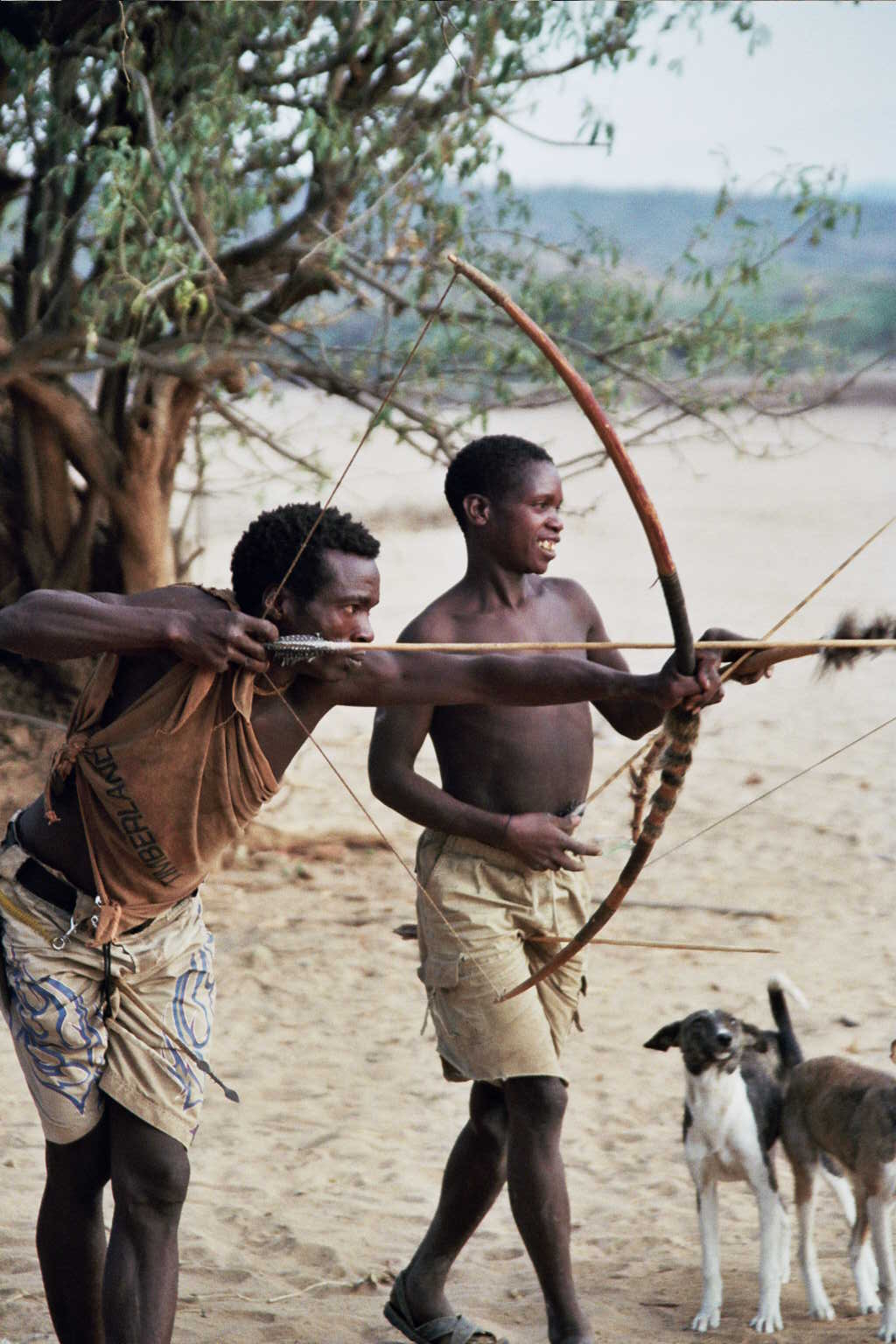 Two men identified by the photographer as Hadza stand beneath a tree, one drawing a bow while the other holds archery equipment; a dog stands beside them.