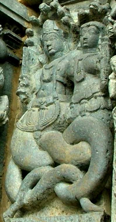 Nāga