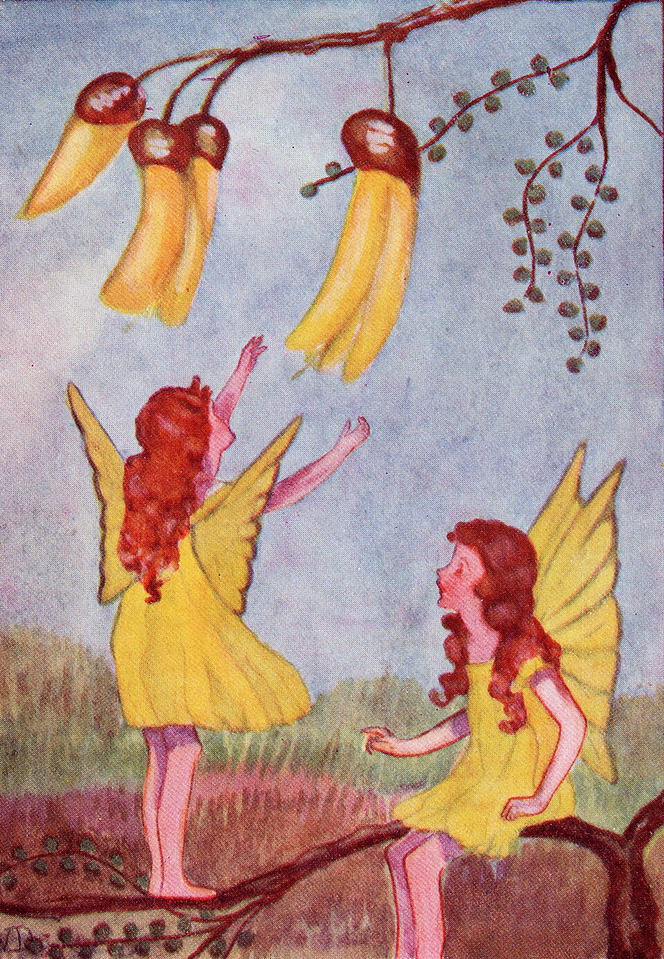 Patupaiarehe