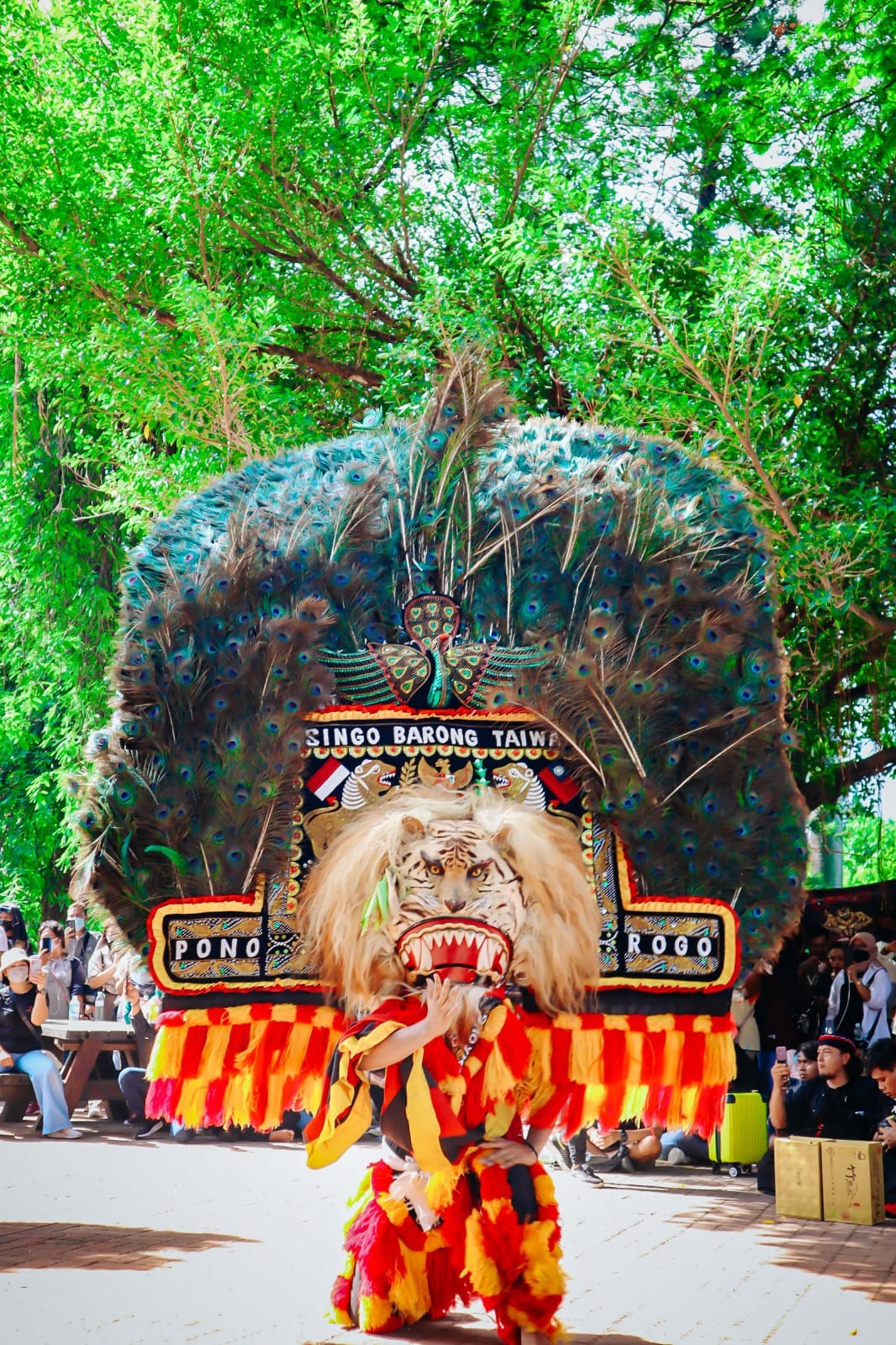 Singo Barong Taiwan performer beneath the tiger-faced mask and peacock-feather fan of Reog