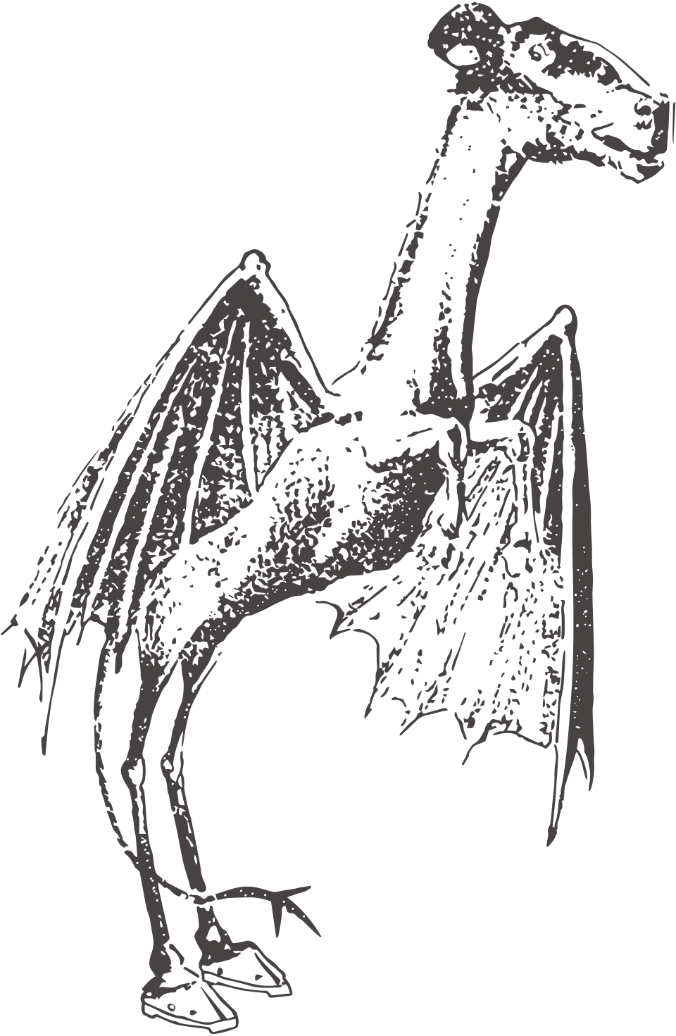 Jersey Devil