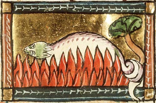 Salamander (bestiary)