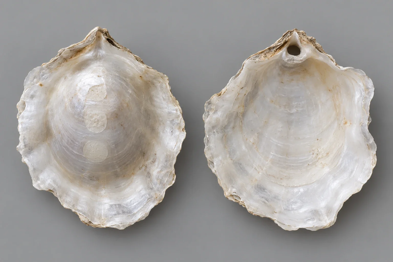 Saddle oyster valves