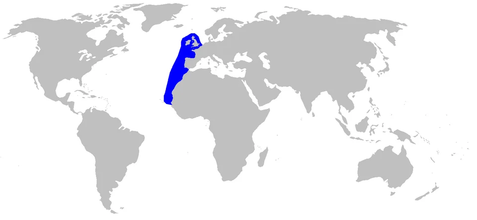 Distribution map for Scymnodon ringens