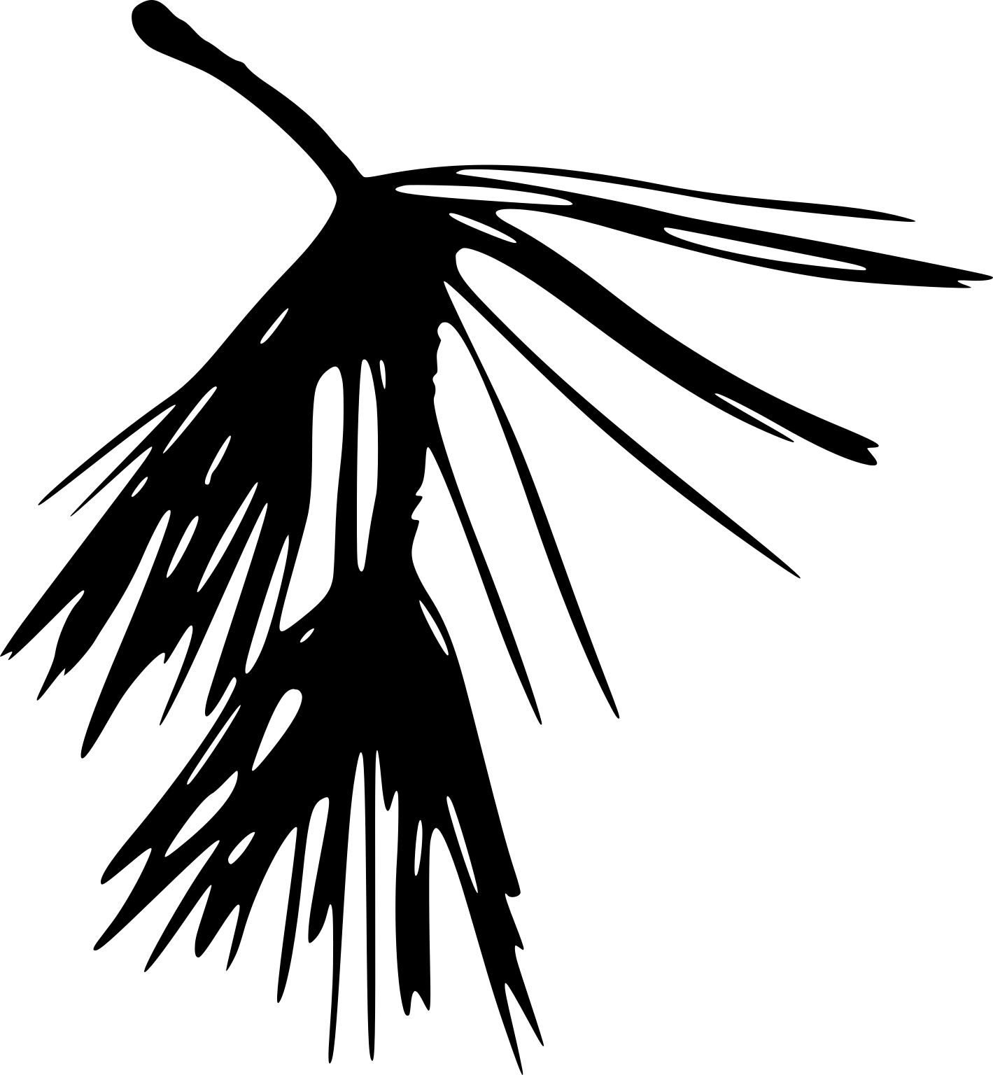 A black silhouette of a curved pine twig with clusters of long needle leaves.