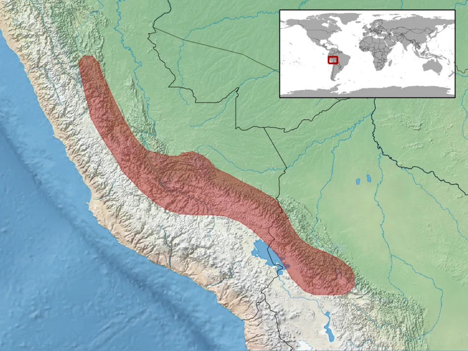 geographic distribution of Bothriopsis oligolepis (Native:
Bolivia, Plurinational States of; Peru)