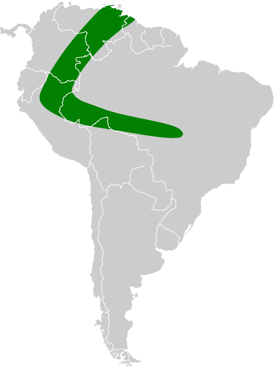 Geographical distribution of Miller's dog-faced bat