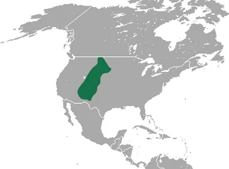 Dwarf Shrew (Sorex nanus) range