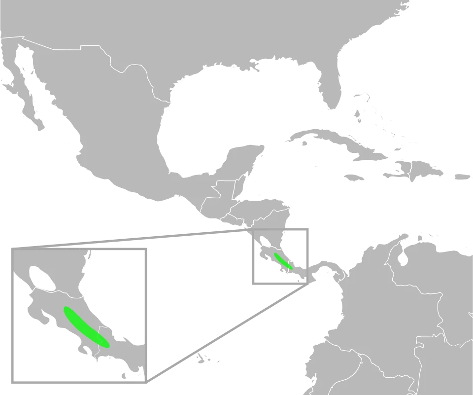 The distribution of Bufo fastidiosus. Data from Mulcahy, D.; Williams, T.; Mendelson, III, J; and Sites, J. (2008) "Phylogenetic Relationships Among Mesoamerican Bufonids." Poster presented at the 2009 Joint Meeting of the American Society of Ichthyologists and Herpetologists. Abstract available here, p. 58.