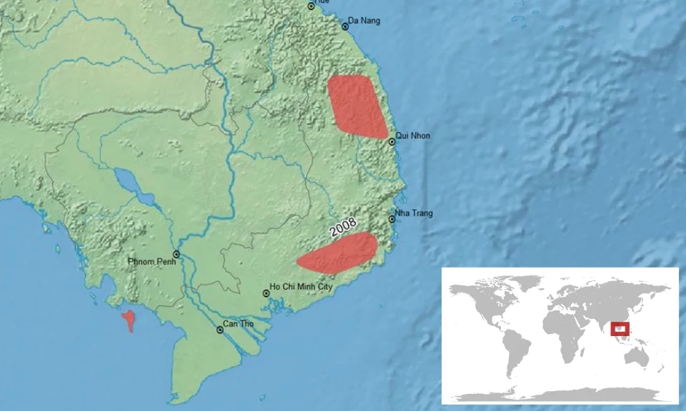 geographic distribution of Limnonectes dabanus