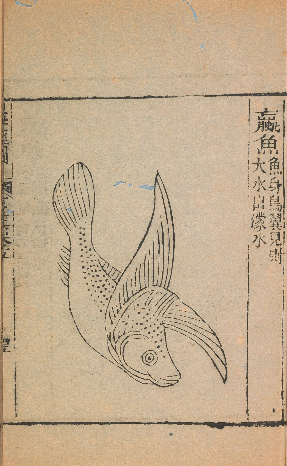 Luoyu, named1667 historical plate