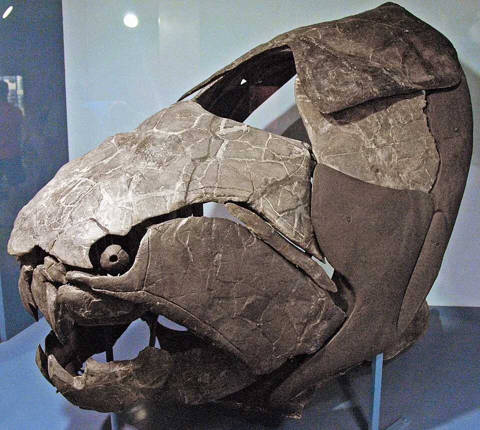 Dunkleosteus