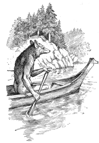 Coyote (Nlaka’pamux)