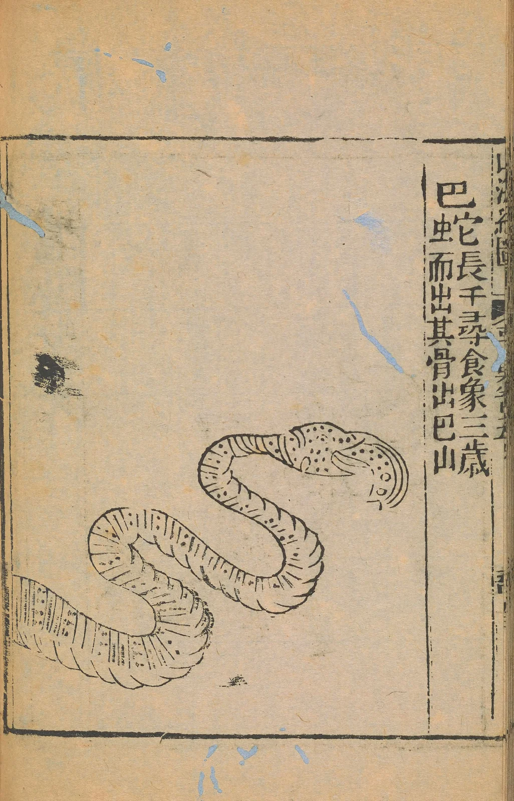 Bashe, anonymous1667 Shanhaijing illustration