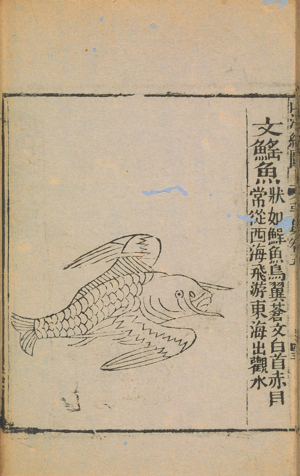 Wenyao of the Guan River, anonymous1667 Shanhaijing illustration
