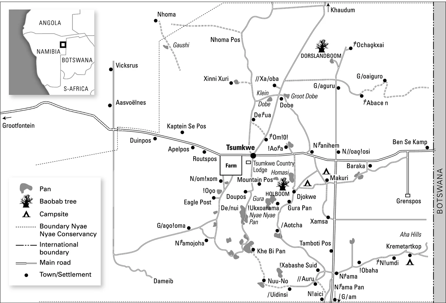 Dated Nyae Nyae Conservancy research map showing settlements, pans, roads, campsites, baobab markers, its boundary and a Namibia location inset.