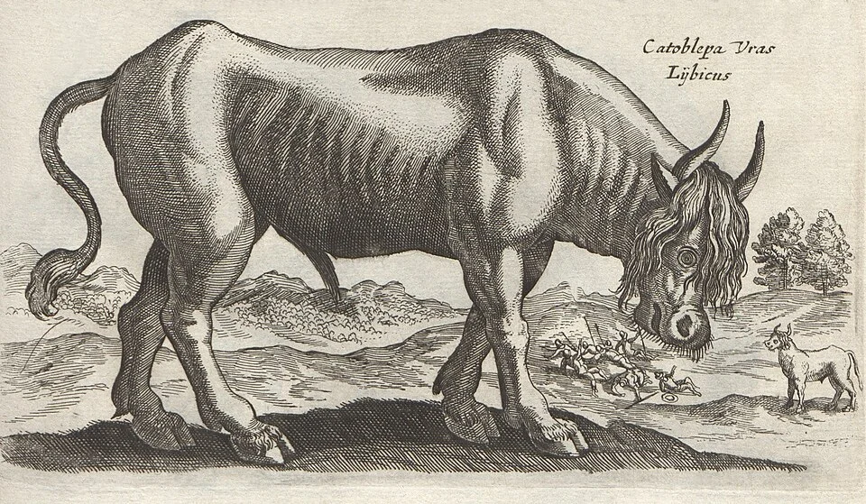 Catoblepas