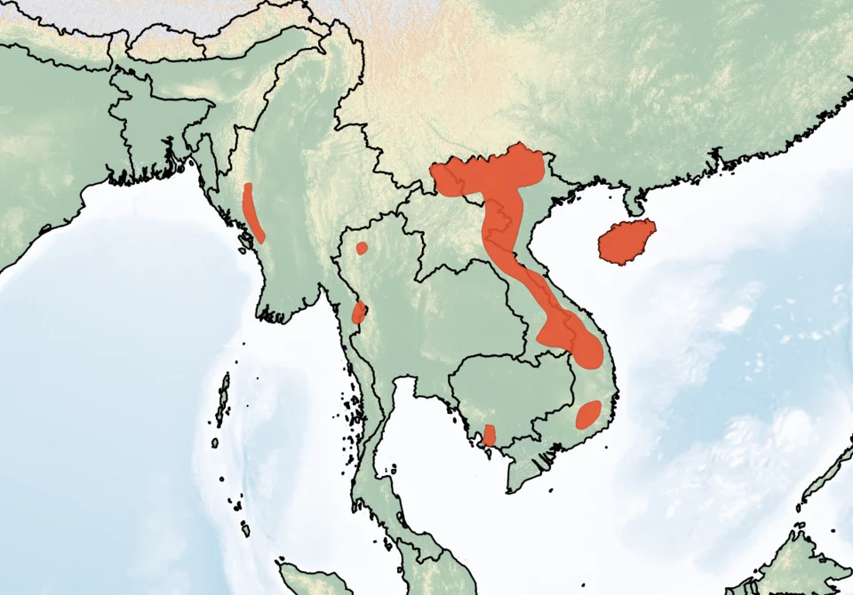 Distribution of Niviventer tenaster. Red - Extant (resident).