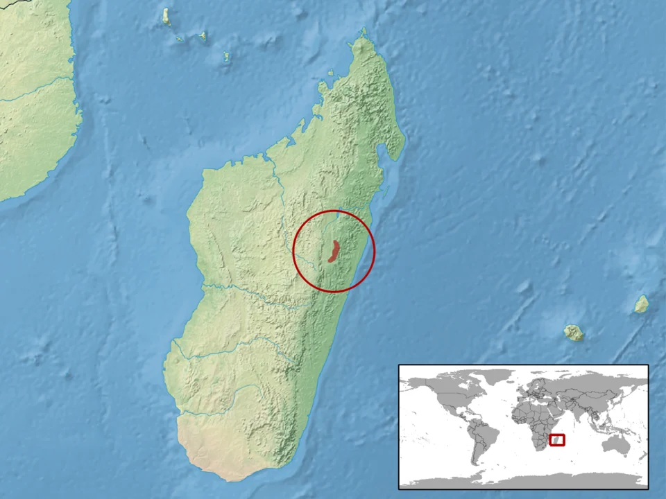 geographic distribution of Uroplatus pietschmanni (Native:
Madagascar)