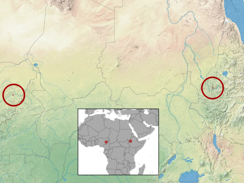 geographic distribution of 'Myotis morrisi