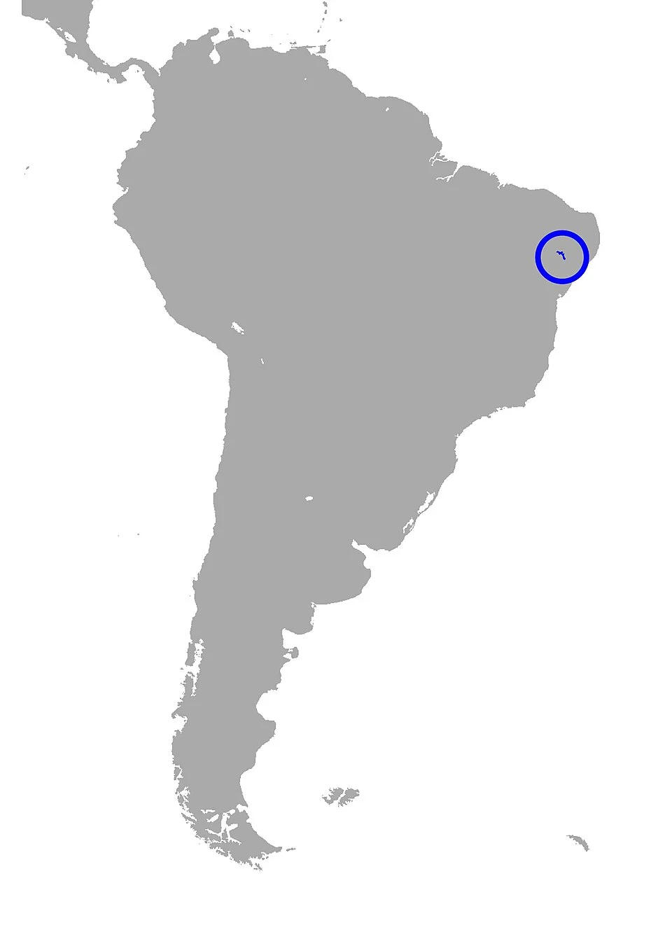 Chthonerpeton arii range