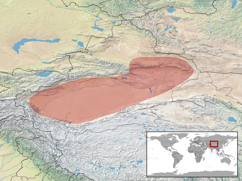 geographic distribution of Cyrtopodion elongatum (Native:
China (Xinjiang))