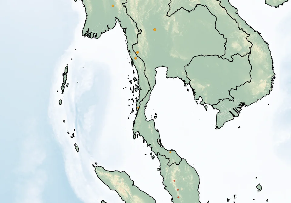 Distribution of Hapalomys longicaudatus. Red - Extant (resident); Orange - Possibly Extinct.