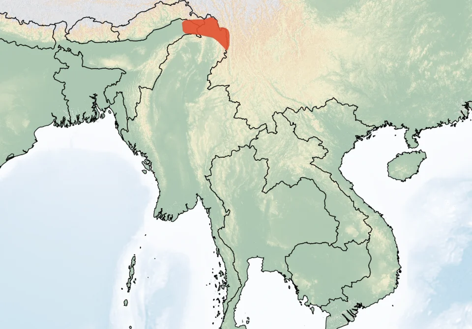 Distribution of Niviventer brahma. Red - Extant (resident).