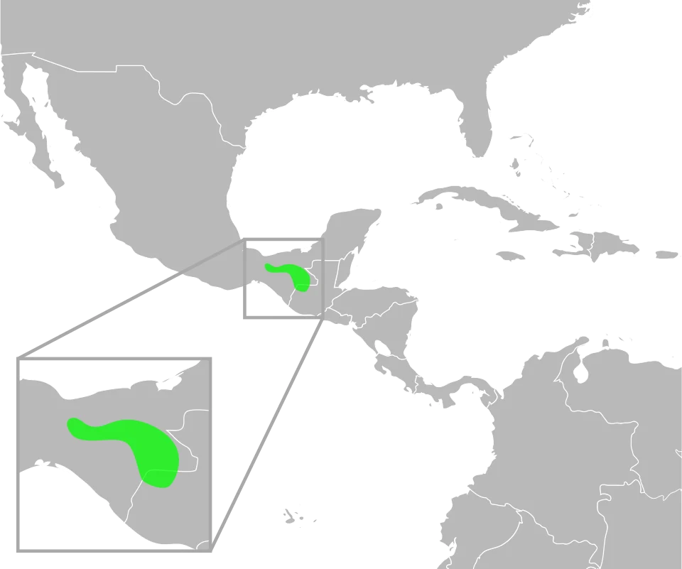 The distribution of Bufo macrocristatus. Data from Mulcahy, D.; Williams, T.; Mendelson, III, J; and Sites, J. (2008) "Phylogenetic Relationships Among Mesoamerican Bufonids." Poster presented at the 2009 Joint Meeting of the American Society of Ichthyologists and Herpetologists. Abstract available here, p. 58.