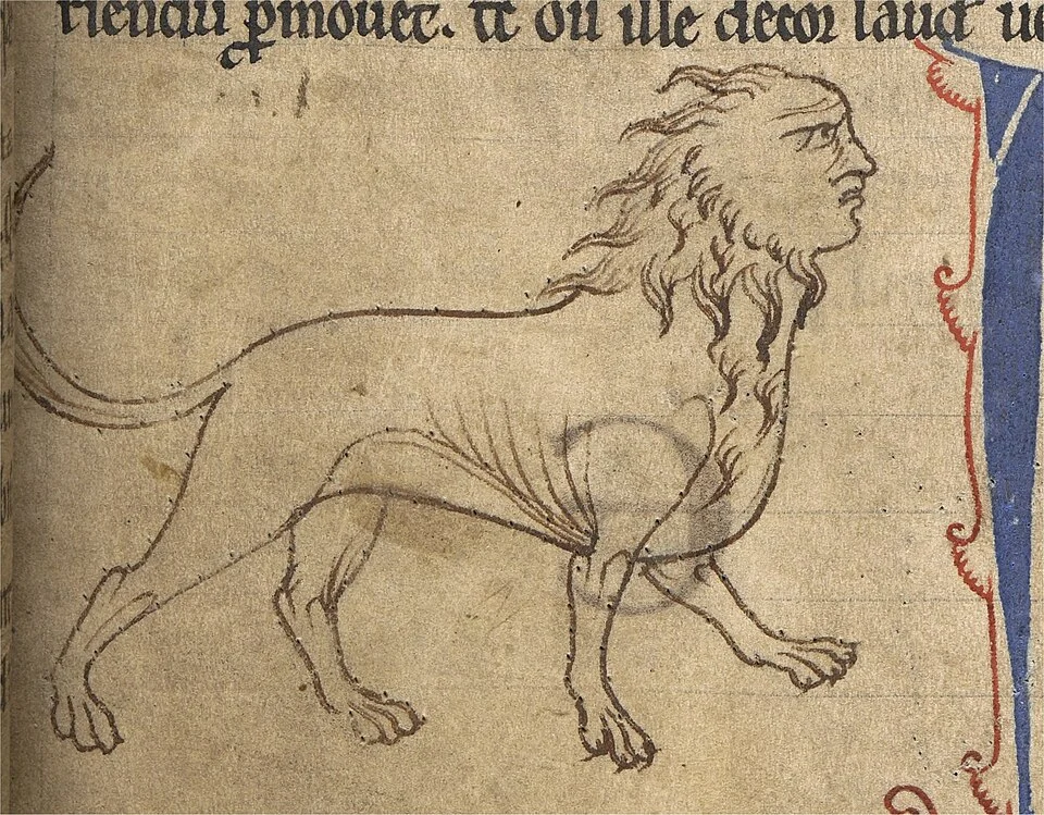 Medieval bestiary depiction of a manticore