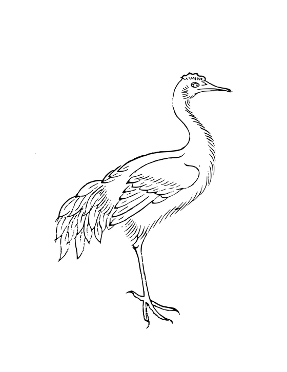 Bifang
