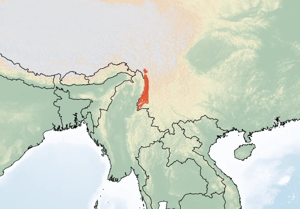 Distribution of Eothenomys cachinus. Red - Extant (resident).