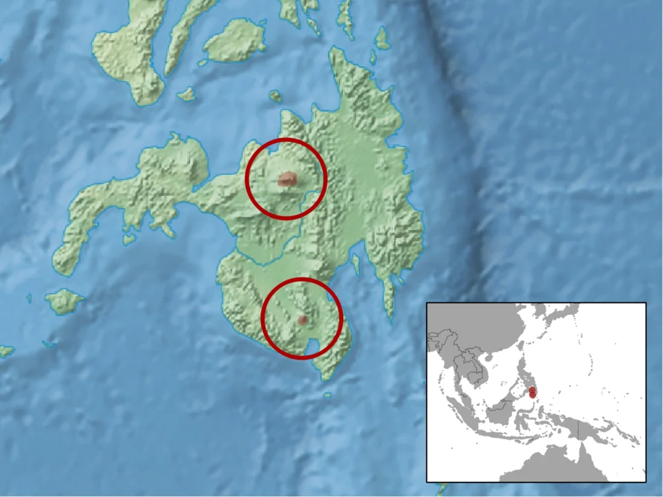 geographic distribution of Tarsomys echinatus