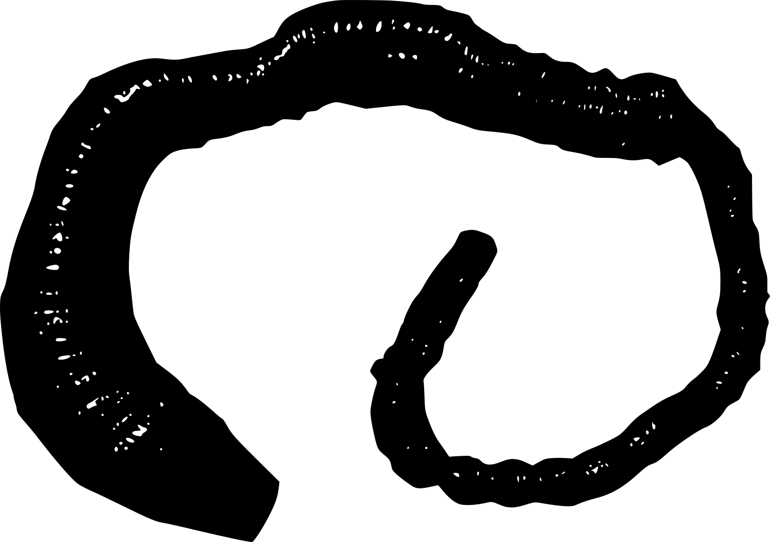 A black silhouette of a long curled lugworm, with an uneven thicker front region and a narrow curled tail.