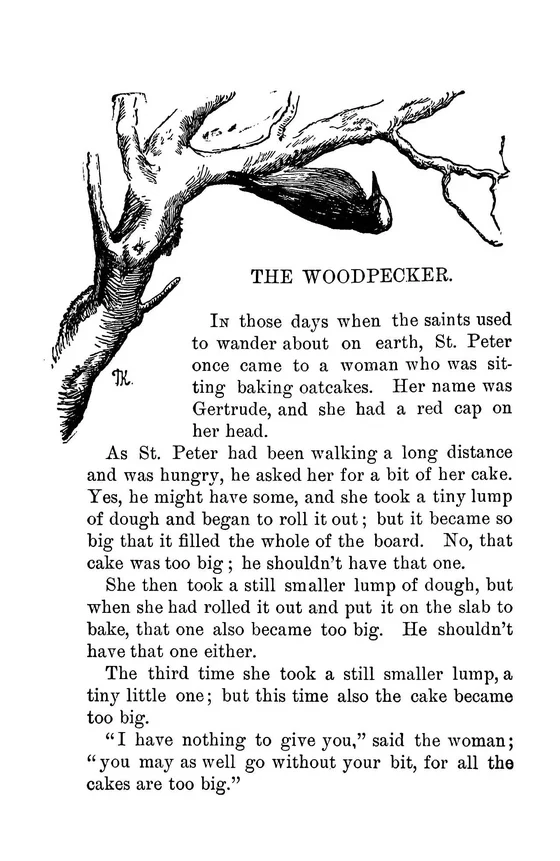 Kittelsen: Gertrude transformed into a woodpecker on a branch