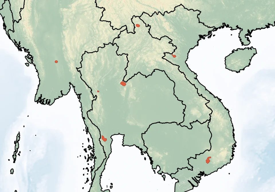 Distribution of Eudiscopus denticulus. Red - Extant (resident).
