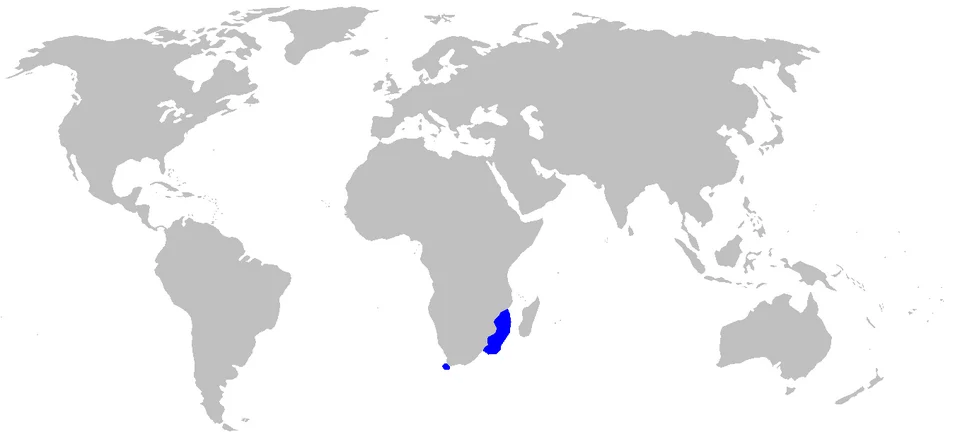 Distribution map for Holohalaelurus punctatus