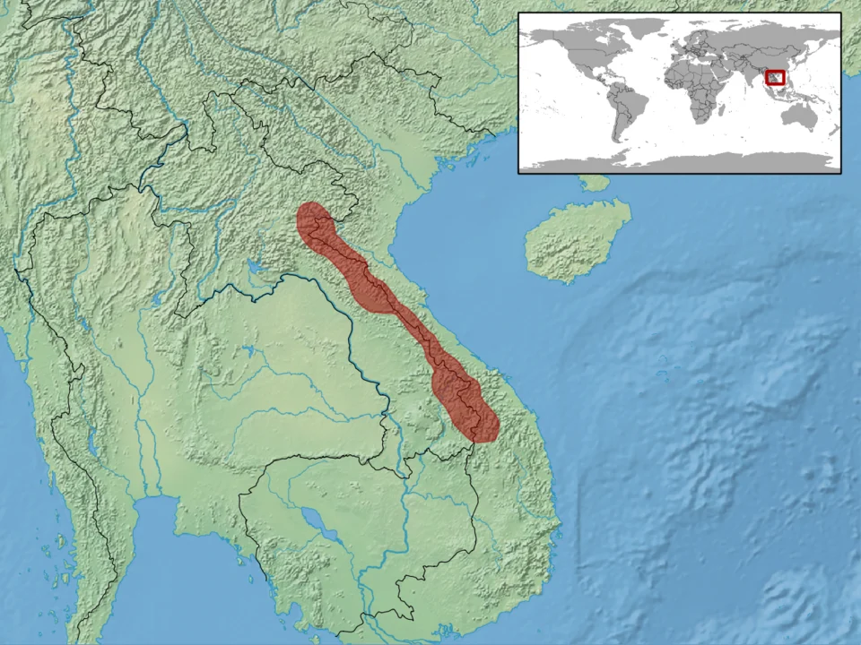 geographic distribution of Protobothrops sieversorum (Native:
Lao People's Democratic Republic; Viet Nam)