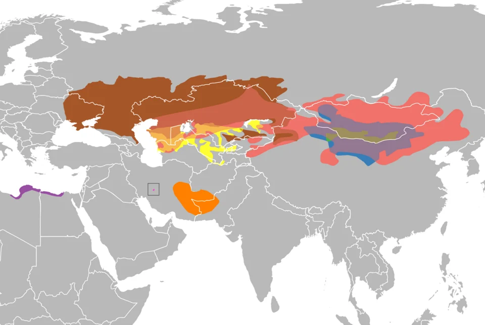 Distribution of Allactaga species. A. major in brown, A. severtzovi in yellow, A. sibirica in red, A. bullata in blue, A. balikunica in green, A. tetradactyla in purple, A. hotsoni in orange, A. firouzi in pink (in box). Several species overlap, particularly A. sibirica.