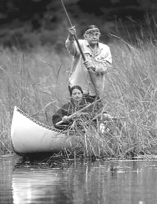 Two people in a canoe among tall wild-rice plants, one seated near the bow and one standing with a long pole, identified by the original caption as White Earth tribal members.