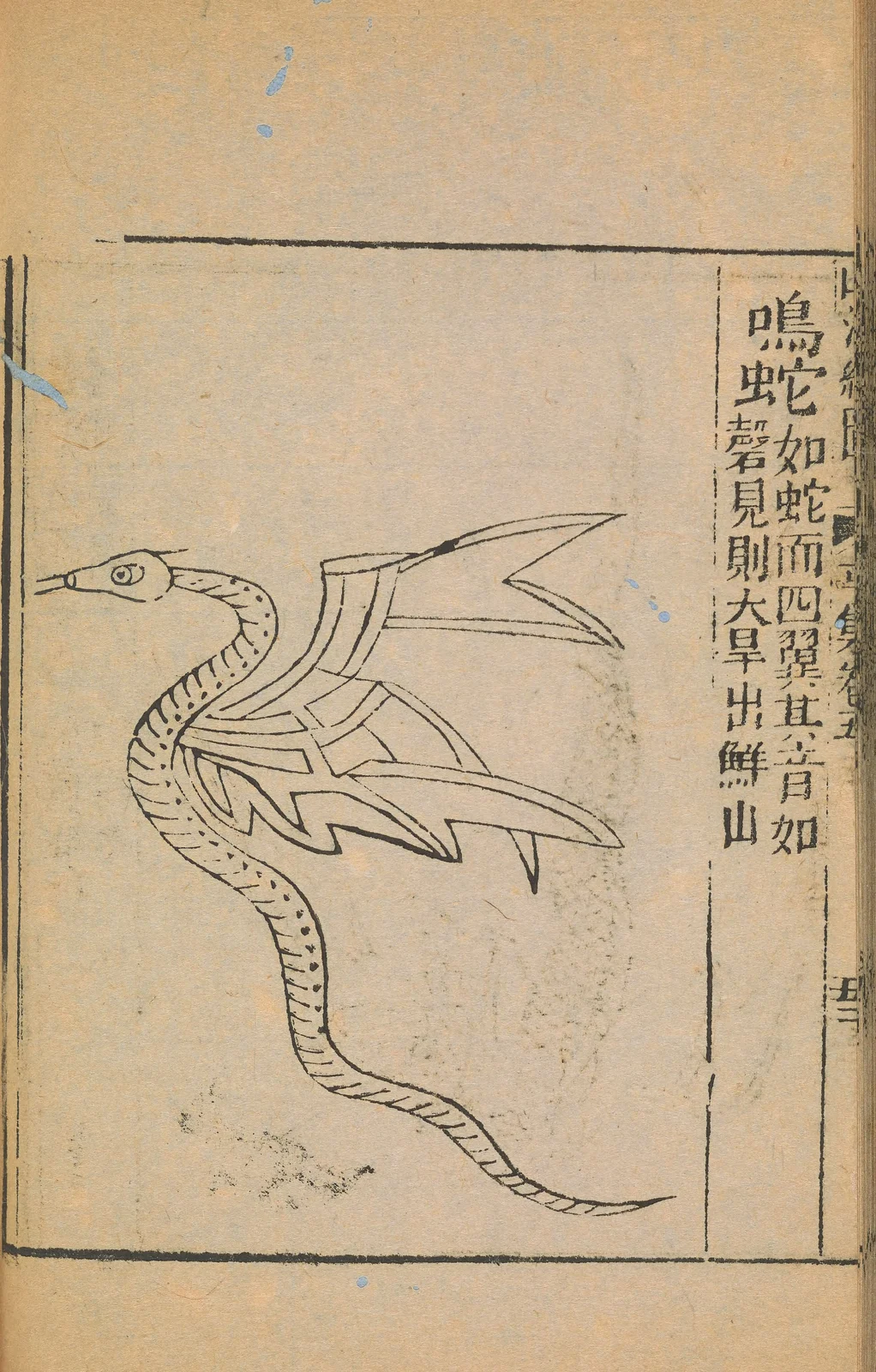 Ming snake, named1667 historical plate