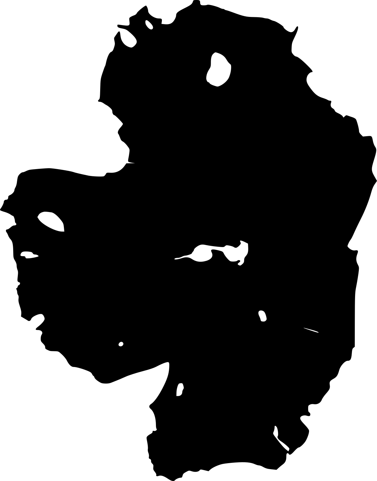 A black silhouette of a broad irregular laver blade with small holes and torn-looking margins.