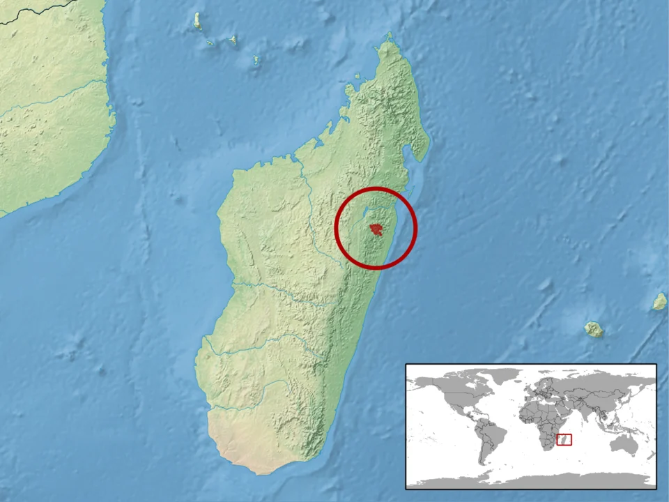 geographic distribution of Brookesia lambertoni (Native:
Madagascar)