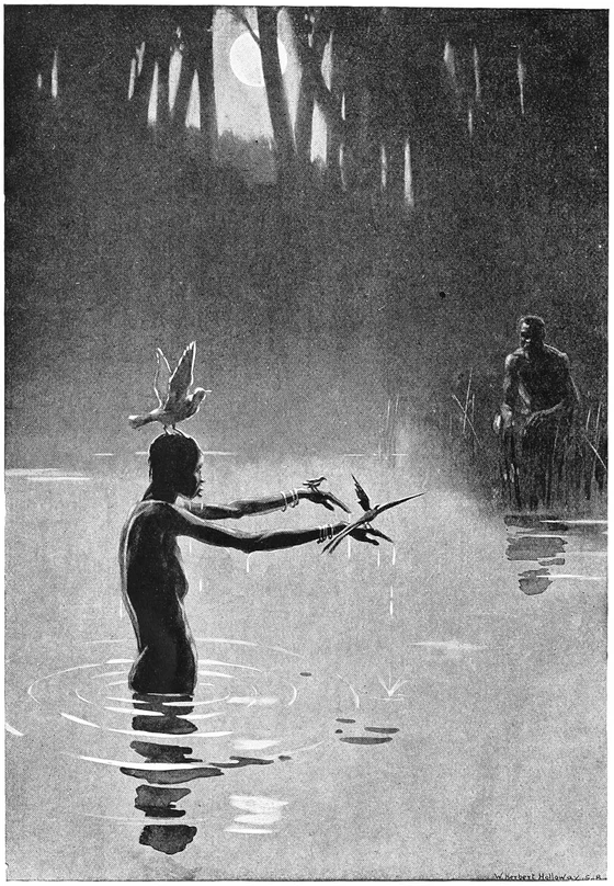 Setuli meets the bird-bearing pool fairy, Holloway 1908