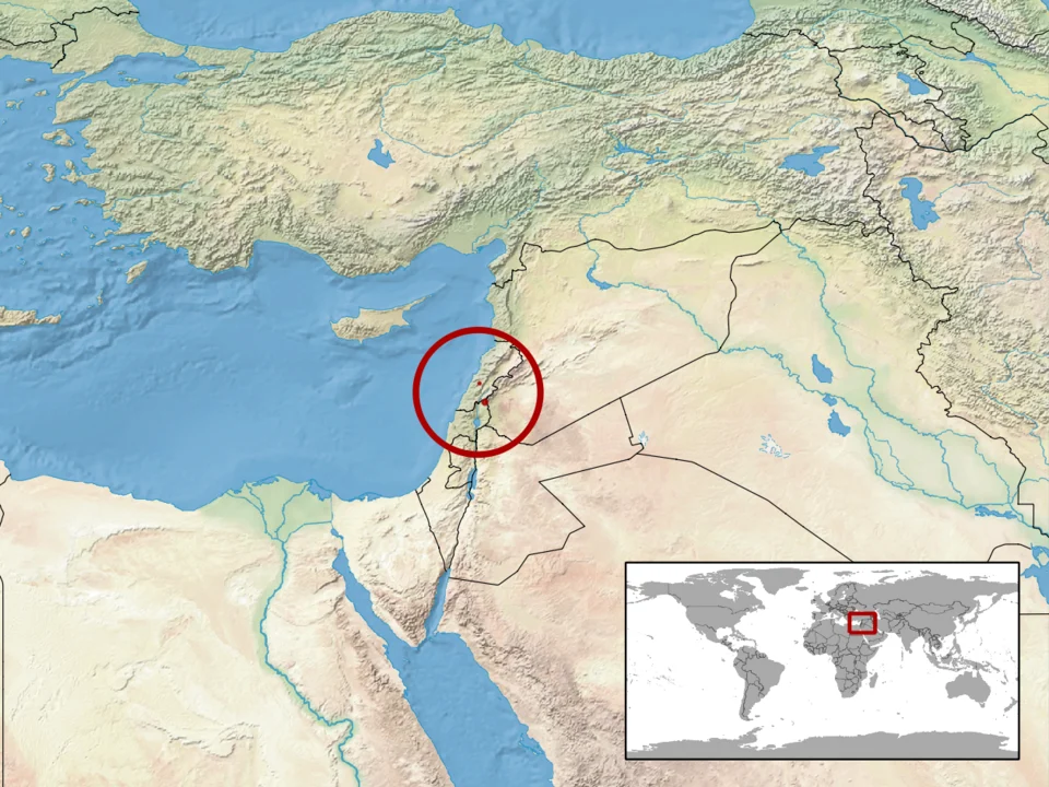 geographic distribution of Mediodactylus amictophole syn. Cyrtopodion amictophole (Native:
Lebanon; Syrian Arab Republic)