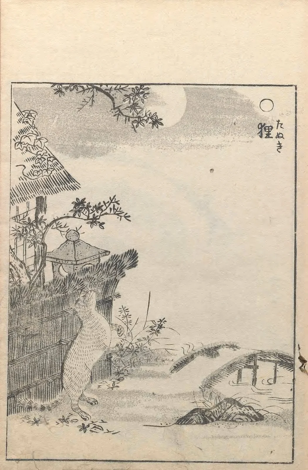 Tanuki, named plate by Toriyama Sekien