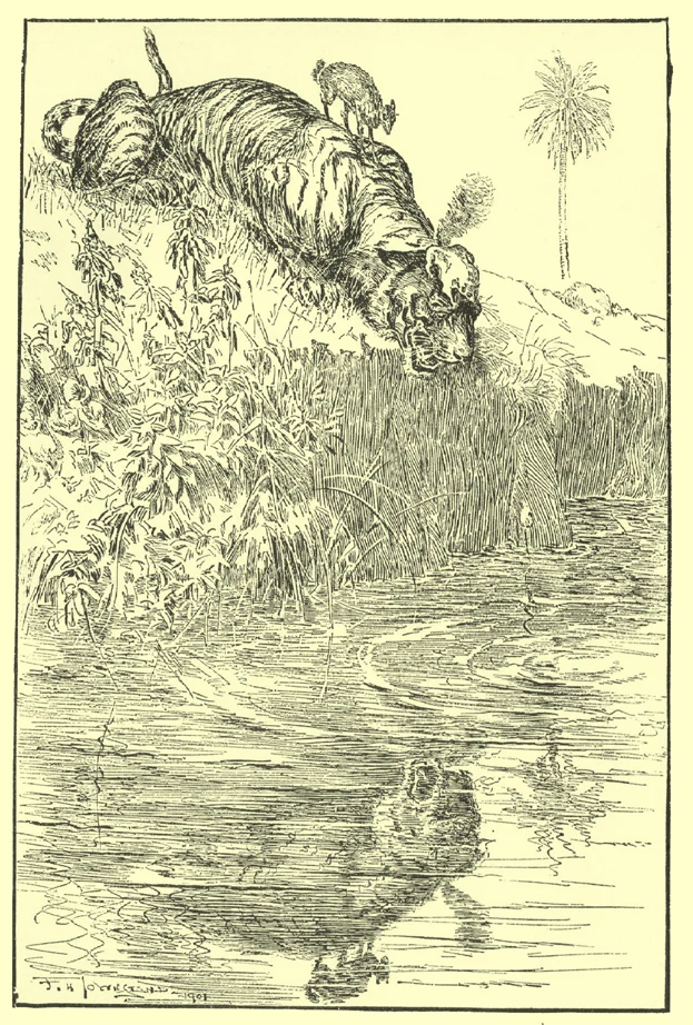 Townsend’s P’lando’ and Kuwis riding the tiger toward its reflection